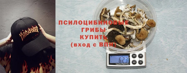 тгк Алзамай