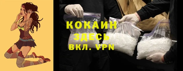 кокс Алексин