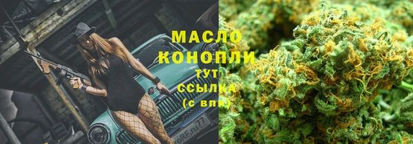 тгк Алзамай
