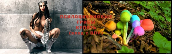 кокс Алексин