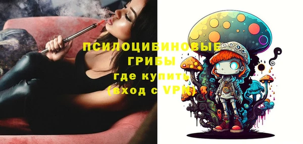 кокс Алексин
