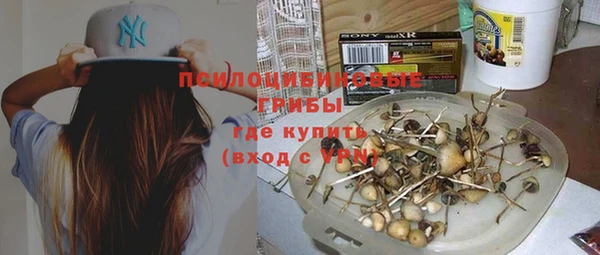кокс Алексин